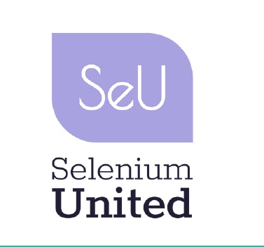 Curso SeU Certified Selenium Engineer con Java | Selenium Web Testing Certification