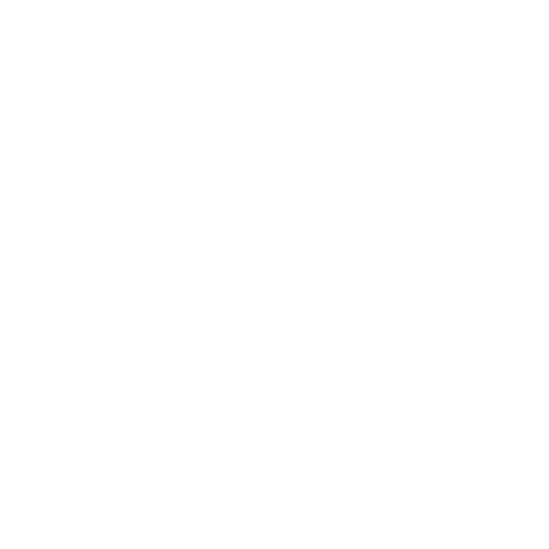 NEXUS